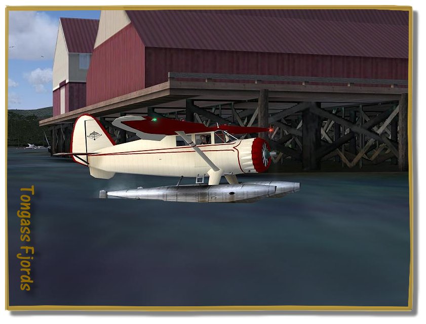tongrev30.jpg
